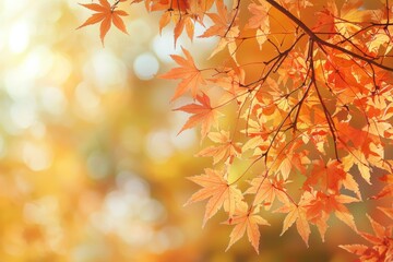 Fallen Leaves Season Background