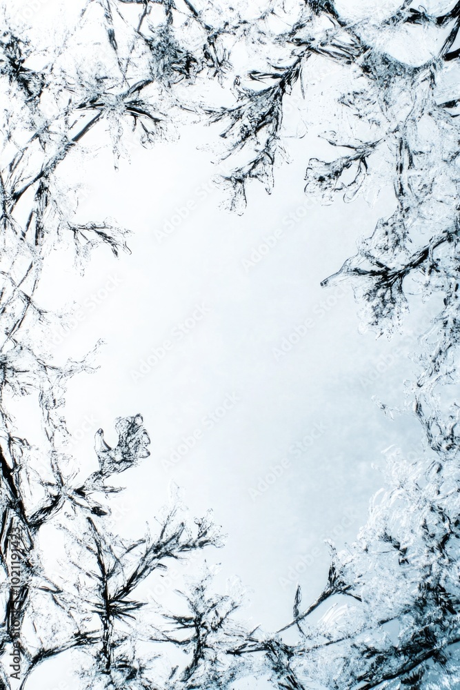 Poster a serene winter scene featuring a dense forest covered in snow
