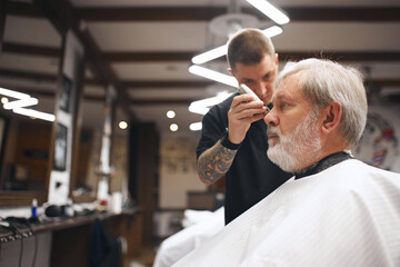 Barber, with focused attention, trimming client beard and mustache, ensuring clean lines. Elderly man visiting barbershop. Concept of male beauty, barbershop, hairstyle, salon, hairdresser