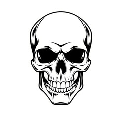 Fototapeta premium Simple image of a skull facing forward, isolated on a white background