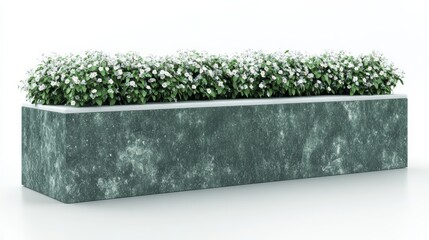 Green Concrete Planter with White Flowers