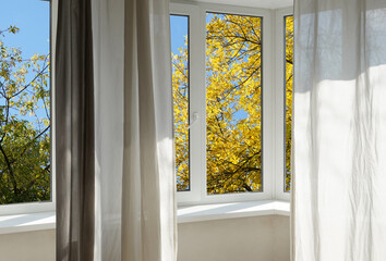 View from the window, yellow trees, landscape with autumn forest.