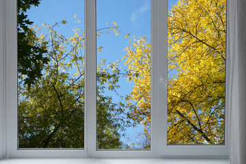 Fototapeta premium View from the window, yellow trees, landscape with autumn forest.