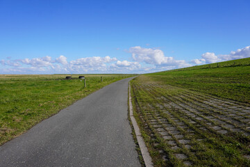 Radweg an den Deichen entlang an der Nordseeküste in Deutschland