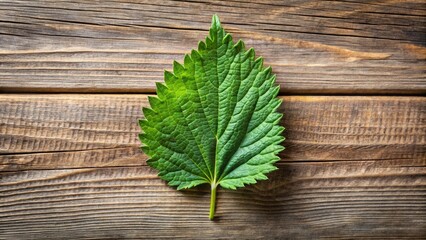 A single green leaf with a serrated edge rests on a textured brown wooden surface, displaying the intricate details of its veined structure.