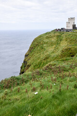 castle on the cliff