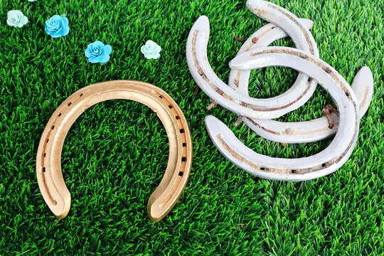 Used horseshoes spray-painted golden yellow. And the one that was removed had a nail stuck in it and was contaminated. Put on artificial grass There were rows of blue artificial flowers.
- Powered by Adobe