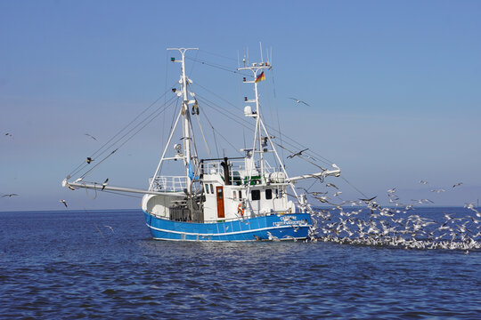 Blick auf einen Fischkutter der gerade auf der Nordsee umringt von vielen M&ouml;wen Fische f&auml;ngt 