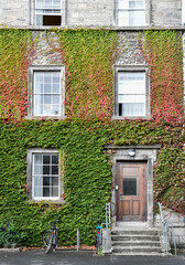 Old colorful windows and door in Irish village