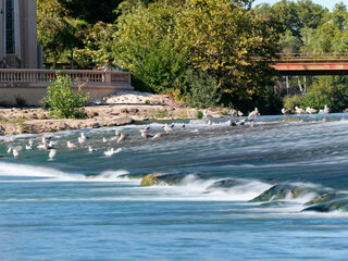 Obraz premium Vue de la ville d'Agde et du château Laurens depuis le fleuve côtier l'Hérault