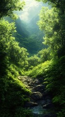 Obraz premium Lush green forest with sunlight filtering through trees, stream in the middle creating a serene natural landscape.