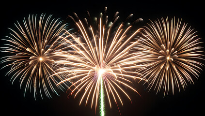 fireworks launching trail sparks lighting sky