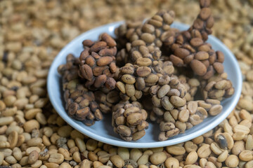 Unprocessed Luwak Coffee beans - coffee cherries that have been eaten, partially digested, and defecated by the Asian Palm Civet (known as the Luwak in Bali).