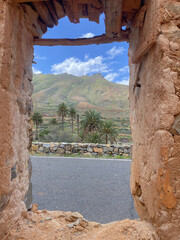 Palm trees seen through an old window