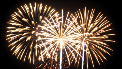 sparkling firework illuminating night celebration