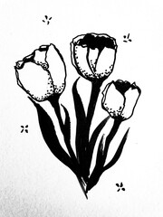 tulipa blackwork
