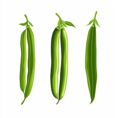 Green Beans Silhouette Isolated on White Background, flat design illustration