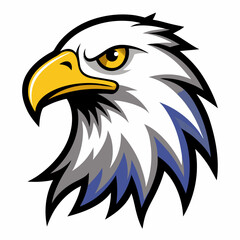 american bald eagle