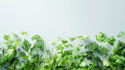 Obraz premium Fresh Herbs: A Culinary Delight