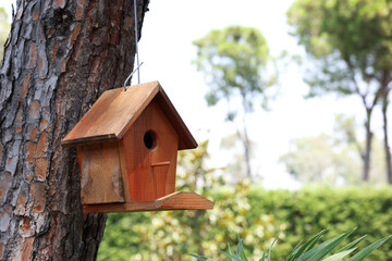 Beautiful wooden birdhouse hanging on tree trunk in park