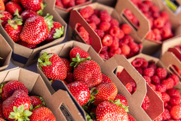 Cardboard boxes overflowing with fresh, ripe strawberries and raspberries at a farmers market, showcasing the abundance of summer harvest. Selective focus