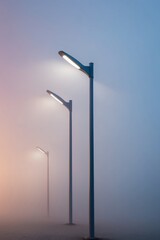 Two Lit Street Lights in a Foggy Evening.