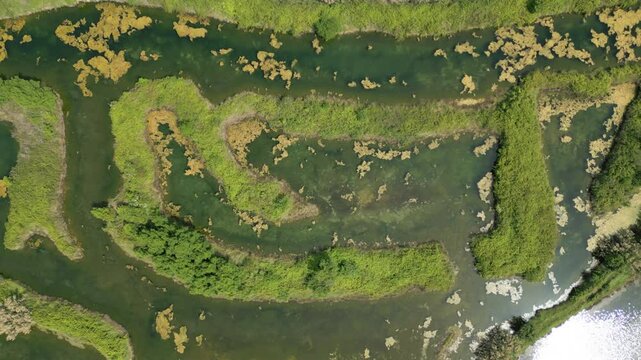 Grado Lagoon seen from above. Between waters, islands and uncontaminated nature