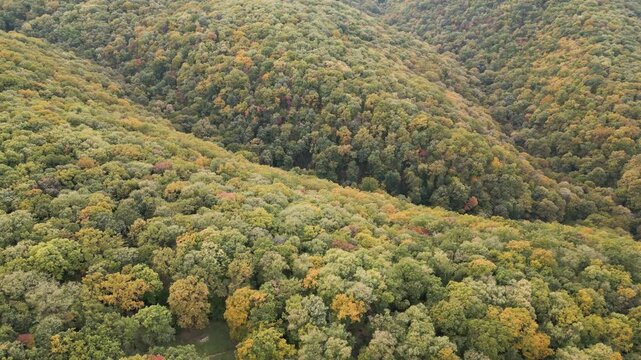 Aerial drone view of forest and hills
