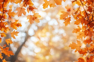 Fallen Leaves Season Background