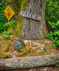 whimsical display in a Pacific Northwest forest