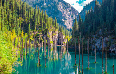 Sunken forest of Lake Kaindy in Kazakhstan. Beautiful mountain natural landscape. A blue lake with tree trunks sticking out of it. Panoramic view of the reserve.