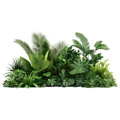 Lush Tropical Foliage Collection: A vibrant assortment of tropical plants, showcasing diverse textures and greens, perfect for adding a touch of paradise to your designs. 