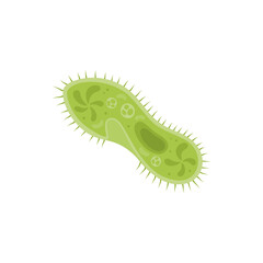 Paramecium Caudatum Illustration
