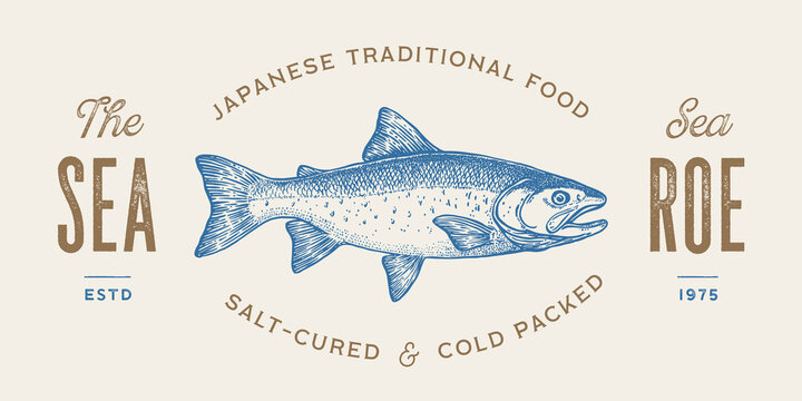 Salmon fish seafood, sketch. Vintage retro print, seafood salmon fish sketch, logo sign template, ink pencil style drawing, engrave old school. Hand drawn sketch salmon fish. Vector Illustration