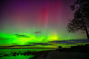 Aurora Borealis dancing above the Baltic Sea in Sweden