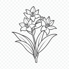 Floral Bunch with Elegant Tuberose Line Art Vector Illustration in Detailed Botanical Style