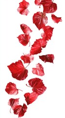 Falling red nettle leaves isolated on a white background with vibrant colors. Generative AI