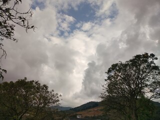 clouds over trees