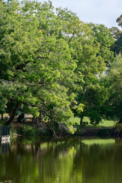 Orstedsparken in Copenhagen