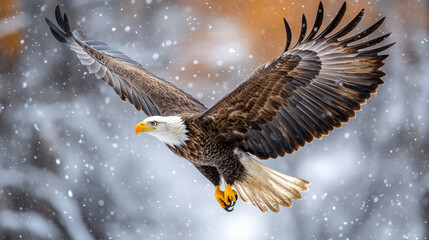 A majestic bald eagle soars gracefully through a snowy landscape, its wings fully spread against a backdrop of softly falling snow and muted colors.