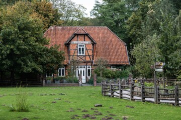 Fototapete bei efototapeten.de bestellen   