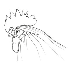 Rooster line art vector design.Rooster outline illustration design.