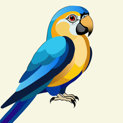 blue and yellow macaw ara © Serge