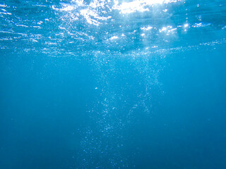 bubbles, bubbles undersea, undersea, green water, underwater, crystal sea, background, sea, bubble,...