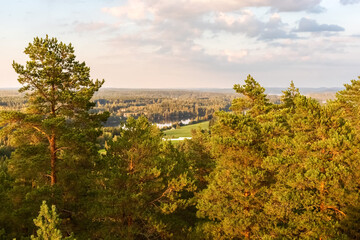 Forest and lake from above at sunset. Beautiful forest landscape. Photo