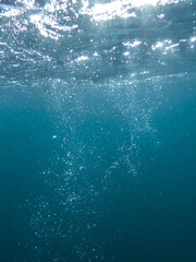 bubbles, bubbles undersea, undersea, green water, underwater, crystal sea, background, sea, bubble, bubbles underwater, water, blue, ocean, mediterranean, light, diving, backdrop, air, marine, aqua.