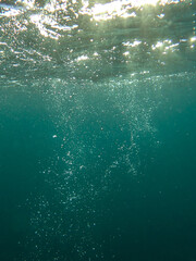Air bubbles underwater rising to water surface, natural scene, bubbles under water, bubble undersea, sea in crystal clear green water. Real image very suitable for backgrounds, Great for background.