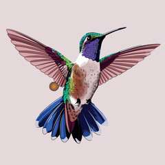 Obraz premium Hummingbird watercolor flowers and in flight. Traditional oriental ink painting vector