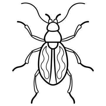 recommend clip art: Weevil  line art vector illustration 