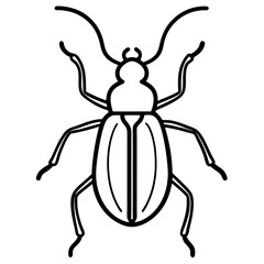 Weevil  line art vector illustration 